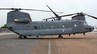 Photo ID 201626 by Fernando Sousa. Netherlands Air Force Boeing Vertol CH 47F Chinook, D 890