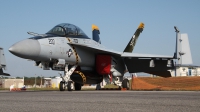 Photo ID 202527 by Paul Newbold. USA Navy Boeing F A 18F Super Hornet, 168493