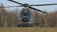 Photo ID 203148 by Robert Flinzner. Netherlands Air Force Aerospatiale AS 532U2 Cougar MkII, S 454