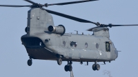 Photo ID 204672 by Robert Flinzner. Netherlands Air Force Boeing Vertol CH 47F Chinook, D 890