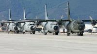 Photo ID 2640 by Braccini Riccardo - Aviopress. Italy Air Force Aeritalia G 222TCM Panda, MM62109