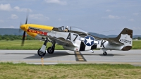 Photo ID 205388 by David F. Brown. Private Private North American F 51D MkII Mustang, N119H