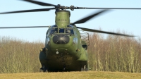 Photo ID 206011 by Robert Flinzner. Netherlands Air Force Boeing Vertol CH 47D Chinook, D 664