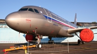 Photo ID 206100 by Milos Ruza. Czech Republic Air Force Airbus A319 115X, 2801