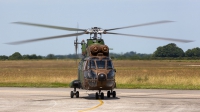 Photo ID 206155 by Thomas Ziegler - Aviation-Media. France Army Aerospatiale SA 330B Puma, 1244