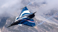 Photo ID 207437 by Thomas Ziegler - Aviation-Media. France Air Force Dassault Rafale C, 133