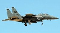 Photo ID 208195 by Richard de Groot. USA Air Force McDonnell Douglas F 15E Strike Eagle, 91 0601