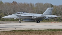 Photo ID 208916 by David F. Brown. USA Navy Boeing F A 18F Super Hornet, 166665