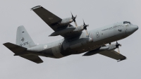 Photo ID 209138 by F. Javier Sánchez Gómez. Netherlands Air Force Lockheed C 130H 30 Hercules L 382, G 275