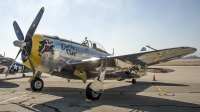 Photo ID 209979 by W.A.Kazior. Private Private Republic P 47D Thunderbolt, NX47DM