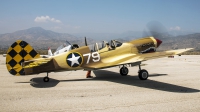 Photo ID 210576 by W.A.Kazior. Private Planes of Fame Air Museum Curtiss P 40N Warhawk, N85104