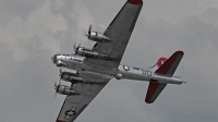 Photo ID 211107 by David F. Brown. Private Yankee Air Force Boeing B 17G Flying Fortress 299P, N3193G