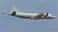 Photo ID 211271 by Rainer Mueller. Germany Navy Lockheed P 3C Orion, 60 05