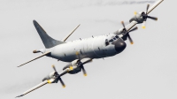 Photo ID 211742 by Ruben Galindo. Spain Air Force Lockheed P 3M Orion, P 3M 09