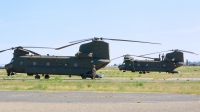 Photo ID 212190 by Sven Zimmermann. Italy Army Boeing Vertol ICH 47F Chinook, MM81779