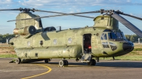 Photo ID 215758 by Sascha Gaida. Netherlands Air Force Boeing Vertol CH 47D Chinook, D 667