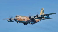 Photo ID 216397 by Dieter Linemann. Spain Air Force Lockheed KC 130H Hercules L 382, TK 10 06