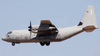 Photo ID 216511 by F. Javier Sánchez Gómez. Italy Air Force Lockheed Martin C 130J Hercules L 382, MM62185