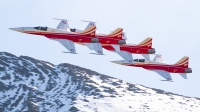 Photo ID 219495 by Agata Maria Weksej. Switzerland Air Force Northrop F 5E Tiger II, J 3081