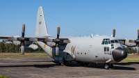 Photo ID 220399 by Jan Eenling. Belgium Air Force Lockheed C 130H Hercules L 382, CH 01