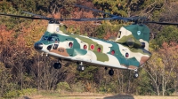 Photo ID 220922 by Andreas Zeitler - Flying-Wings. Japan Air Force Boeing Vertol Kawasaki CH 47JA Chinook, 37 4489