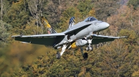 Photo ID 221479 by Ludwig Isch. Switzerland Air Force McDonnell Douglas F A 18C Hornet, J 5011