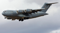 Photo ID 221809 by F. Javier Sánchez Gómez. United Arab Emirates Air Force Boeing C 17A Globemaster III, 1226