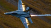Photo ID 222037 by Agata Maria Weksej. Switzerland Air Force McDonnell Douglas F A 18C Hornet, J 5011