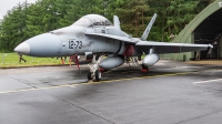 Photo ID 222393 by Jan Eenling. Spain Air Force McDonnell Douglas CE 15 Hornet EF 18B, CE 15 10