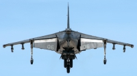 Photo ID 223549 by W.A.Kazior. USA Marines McDonnell Douglas AV 8B Harrier ll, 165429