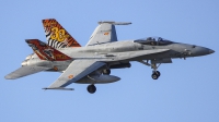 Photo ID 223839 by Ruben Galindo. Spain Air Force McDonnell Douglas C 15 Hornet EF 18A, C 15 14