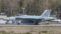 Photo ID 224949 by Paul Varner. USA Navy Boeing F A 18F Super Hornet, 166963