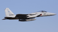 Photo ID 224938 by Chris Lofting. Japan Air Force McDonnell Douglas F 15J Eagle, 52 8853