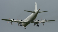 Photo ID 225776 by Sascha Gaida. Germany Navy Lockheed P 3C Orion, 60 01