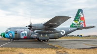 Photo ID 226046 by Thomas Ziegler - Aviation-Media. Pakistan Air Force Lockheed C 130E Hercules L 382, 4178