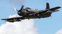Photo ID 227526 by Aaron C. Rhodes. Private Heritage Flight Museum Douglas A 1D Skyraider AD 4N, NX965AD