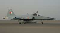 Photo ID 25954 by Frank Noort. Bahrain Air Force Northrop F 5E Tiger II, 685