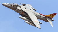 Photo ID 228233 by Ruben Galindo. Spain Navy McDonnell Douglas EAV 8B Harrier II, VA 1B 24