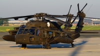 Photo ID 228307 by Lukas Kinneswenger. USA Army Sikorsky UH 60M Black Hawk S 70A, 10 20314