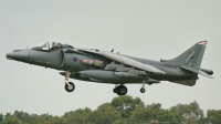 Photo ID 228961 by Sybille Petersen. UK Air Force British Aerospace Harrier GR 9, ZG503