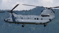 Photo ID 229246 by Lukas Kinneswenger. Netherlands Air Force Boeing Vertol CH 47F Chinook, D 890