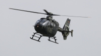 Photo ID 229347 by Milos Ruza. Germany Army Eurocopter EC 135T1, 82 55
