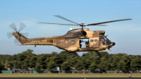 Photo ID 230644 by Robin Coenders / VORTEX-images. France Army Aerospatiale SA 330B Puma, 1173