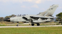 Photo ID 231696 by Stamatis Alipasalis. Italy Air Force Panavia Tornado ECR, MM7068