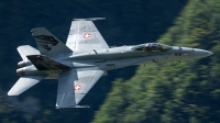 Photo ID 232427 by Thomas Ziegler - Aviation-Media. Switzerland Air Force McDonnell Douglas F A 18C Hornet, J 5018