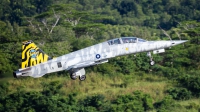 Photo ID 233024 by Andreas Zeitler - Flying-Wings. Taiwan Air Force Northrop F 5F Tiger II, 5395