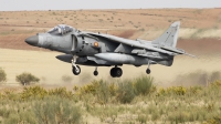 Photo ID 233239 by F. Javier Sánchez Gómez. Spain Navy McDonnell Douglas EAV 8B Harrier II, VA 1B 38