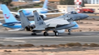 Photo ID 233970 by Bartolomé Fernández. USA Air Force McDonnell Douglas F 15C Eagle, 86 0176