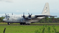 Photo ID 234621 by Cristian Ariel Martinez. Argentina Air Force Lockheed C 130H Hercules L 382, TC 61