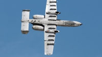 Photo ID 235737 by Aldo Bidini. USA Air Force Fairchild A 10A Thunderbolt II, 79 0171